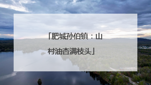 肥城孙伯镇：山村油杏满枝头